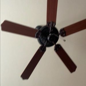 Meet your Posher, Jack